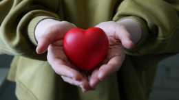 Всемирный день доброты в Москве: с чего начать участие в благотворительности