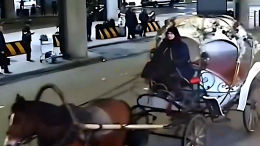 Королевский размах: пассажирку в Пулково встретили на карете