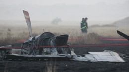 Тела 19 военных нашли на месте крушения турецкого самолета в Грузии