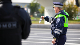 Не торопитесь платить: адвокат Жорин рассказал, как обжаловать ошибочный штраф