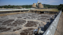 В Германии впервые за 35 лет обнаружили дикий полиовирус в сточных водах