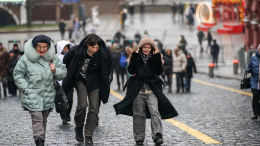 Желтый уровень опасности: москвичей предупредили о сильном ветре 14 ноября