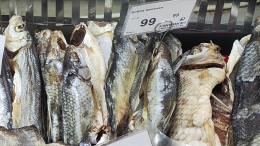 Вобла на вес золота: дефицит любимой закуски россиян сравнили с колбасным в СССР