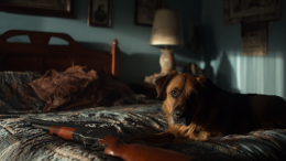 У нее лапки: собака запрыгнула на кровать и выстрелила в хозяина