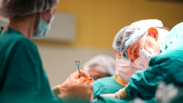 Идет в атаку: раскрыта реакция организма на пересадку свиной почки