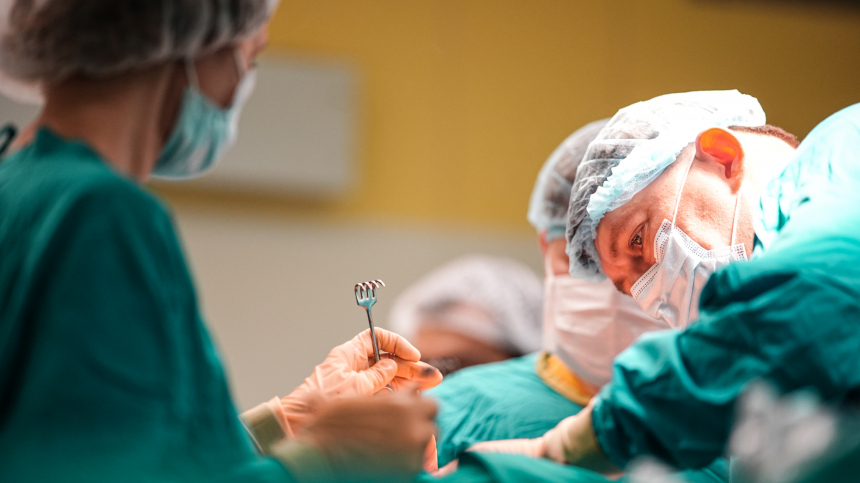 Безопасно ли донорство почки от свиньи человеку