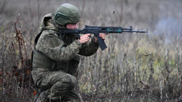 ВС РФ продвинулись вглубь обороны ВСУ на гуляйпольском направлении