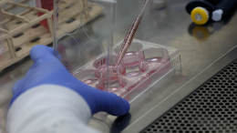 Евгеника и биохакинг: стартап из США обещает генетически модифицированных детей