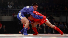 Путин назвал День самбо национальным достоянием