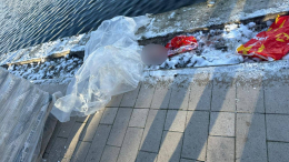 Мать обезглавленного ребенка могла содействовать в убийстве сына