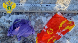 Бабушка обезглавленного мальчика усомнилась в причастности дочери к убийству