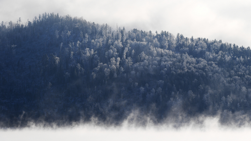 Семья Усольцевых выбралась из тайги