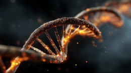 МГУ представил детальную модель восстановления ДНК