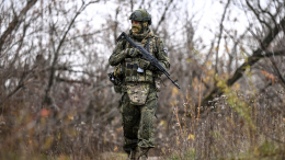 Опубликованы кадры освобождения населенных пунктов Яблоково в Запорожской области и Рог в ДНР