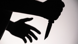 В Подмосковье налетчики с ножом забрали у иностранцев более 15 миллионов