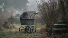 Женщина заказала убийство молодой матери, чтобы забрать ее дочь