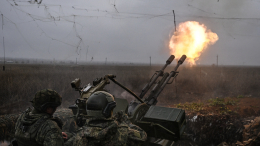 Из зенитки по боевому дрону. Лучшее видео из зоны СВО
