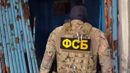 В ДНР задержан украинский диверсант