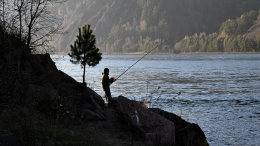 Улов поражает: в Ростовской области рыбаки хвастаются «крокодилом»