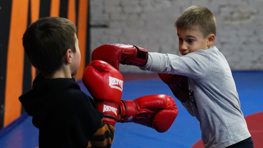 На что чаще всего оформляют займы россияне