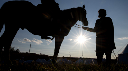 Под Астраханью всадник провалился под землю и случайно наткнулся на склеп