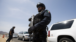 В Мексике ищут жертв наркоторговцев с помощью мертвых свиней