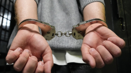 В Петербурге задержали преступную группу за распространение порно с малолетними детьми