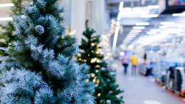 «Хватит на десять лет»: как правильно выбрать искусственную ель на Новый год