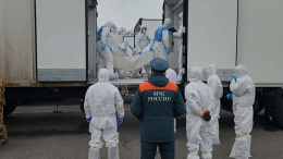 Россия передала Украине тысячу тел боевиков ВСУ