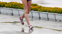 Во Всероссийском чемпионате «Человек идущий» приняли участие более 65 тысяч человек