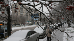 Пора достать зимнюю резину: какая погода будет в Москве и Петербурге на выходных