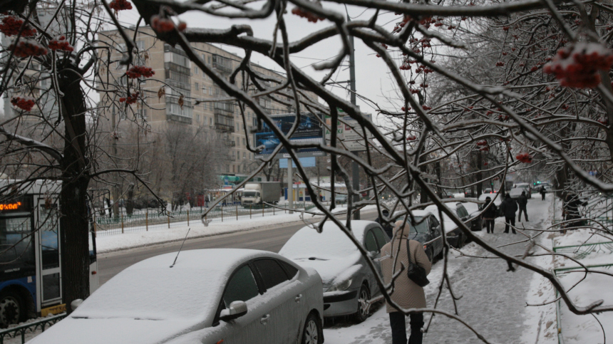 Какая погода ожидается в Москве и Петербурге на выходных
