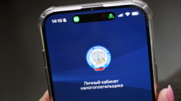 Какие три налога необходимо оплатить до конца ноября