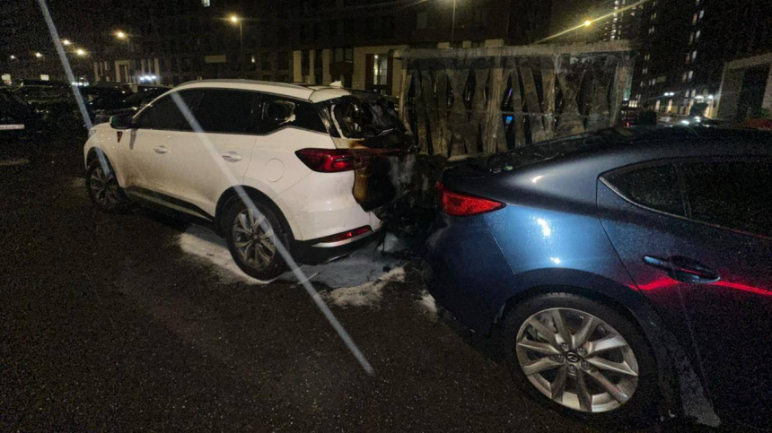 Кто устроил поджег помойки в Москве на Донецкой улице