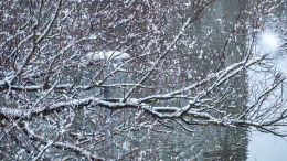 Желтый уровень опасности: снегопад накрыл Московский регион