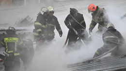 Возгорание на Шатурской ГРЭС в Подмосковье произошло из-за атаки дронов ВСУ