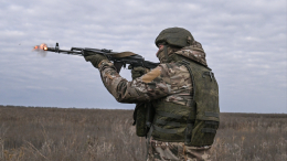 ВС РФ освободили Петровское в ДНР, а также Тихое и Отрадное в Днепропетровской области