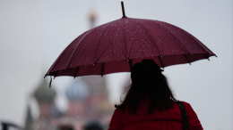 Снегопады отменяются? Какая погода ждет москвичей 24 ноября