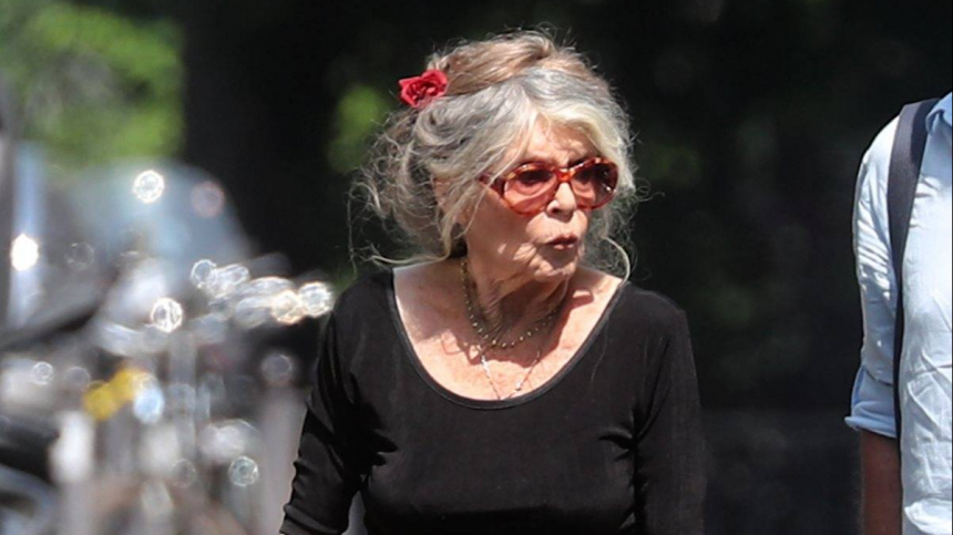 Почему актрису Бриджит Бардо госпитализировали