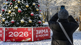 Праздник без конца: сколько коротких рабочих недель ждет россиян в 2026 году