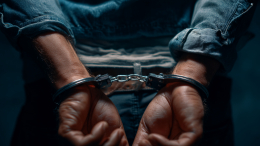 Создатель «виртуального борделя» получил пожизненный срок