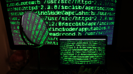 Цыганский табор оборудовал подпольную майнинг-ферму под Петербургом