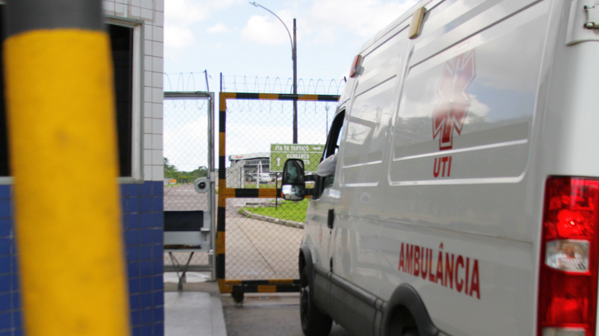 Высотой более 23 метров: огромная рождественская ель насмерть раздавила рабочего