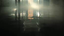 Коммунальные службы осушили скандальный подвал с карпами в Кузбассе