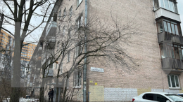 В Петербурге пятиклассница зарезала мать из-за запрета играть в онлайн-игру