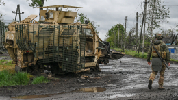 ВС РФ освободили населенный пункт Васюковка в ДНР