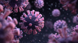 Роспотребнадзор опроверг сообщения о «новом неизвестном вирусе»