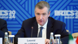 ЛДПР разработала ряд проектов по поддержке матерей в России