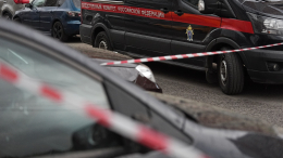 СК возбудил уголовное дело по факту обнаружения тела младенца в Подмосковье