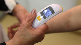 Роспотребнадзор заявил об отсутствии угрозы пандемии птичьего гриппа